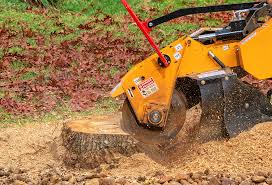 Best Tree Disease Treatment  in Waycross, GA